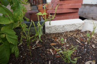 03260F30-4895-4DA4-83C7-A5D4723DDA76