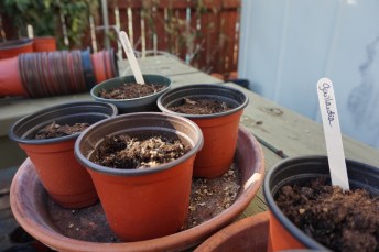 1F986AEF-B6F1-4107-BC6E-71FBD83A6DDA