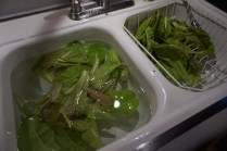 3C3F2ACB-8416-4BE1-952E-E0730BCC70CF