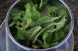 5827F869-ABD6-4D89-9649-392A2A0EF024