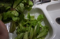 7FD4824E-D236-4A8D-B812-04BED9433CA6