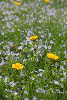 freeimage-31089659-web