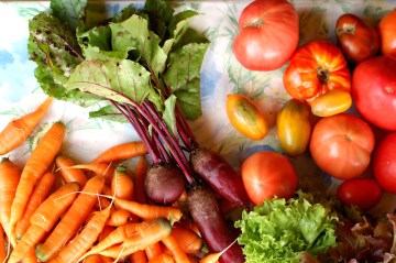 freeimage-4181983-web